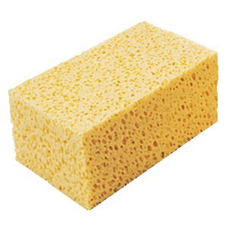 Éponges