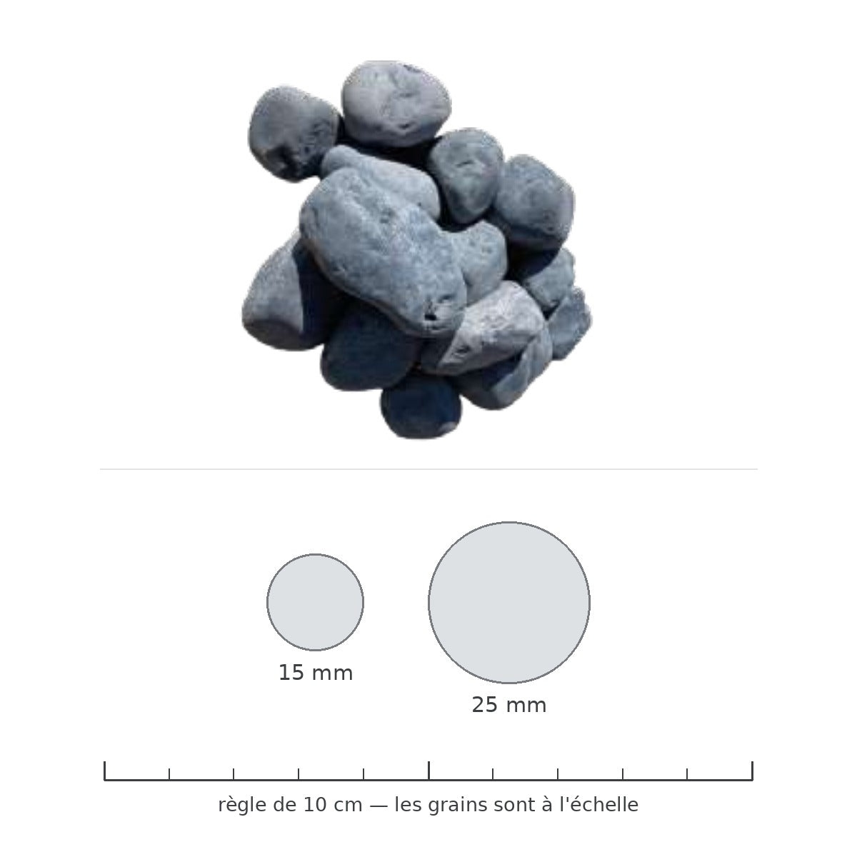 Filet 25 kg Granulat Noir 15/25 mm Roulé — galet à l'échelle, calibre 15/25 mm avec règle de 10 cm