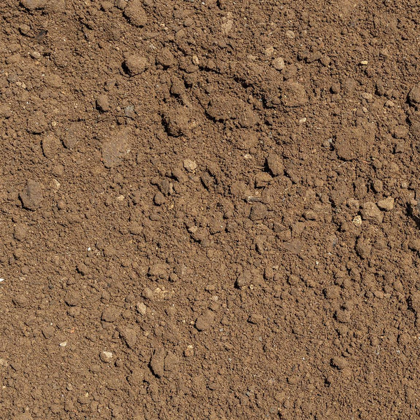 Potager et massif
